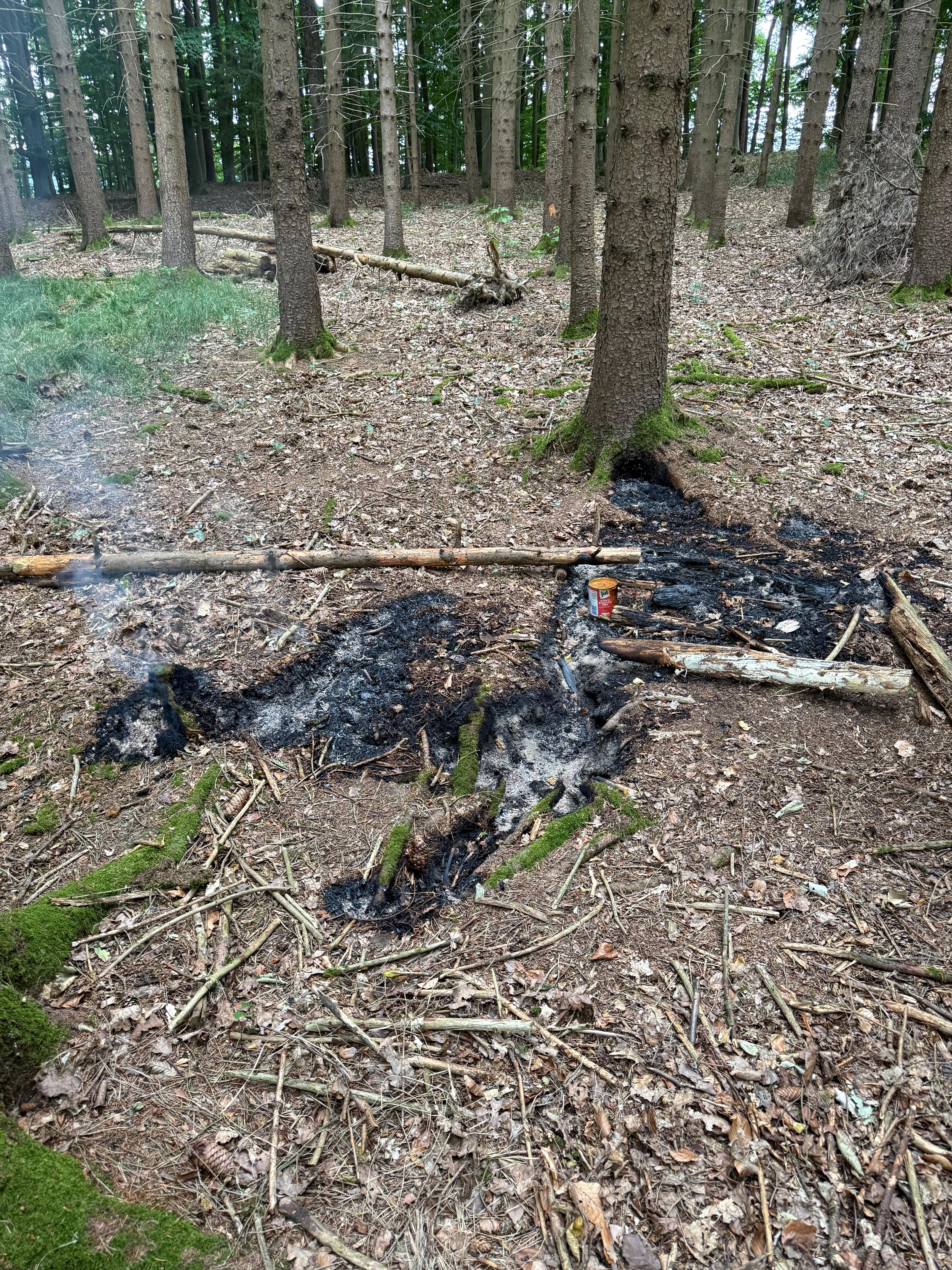 Einsatzfoto  B 2 - im Freien - Wald, klein ...