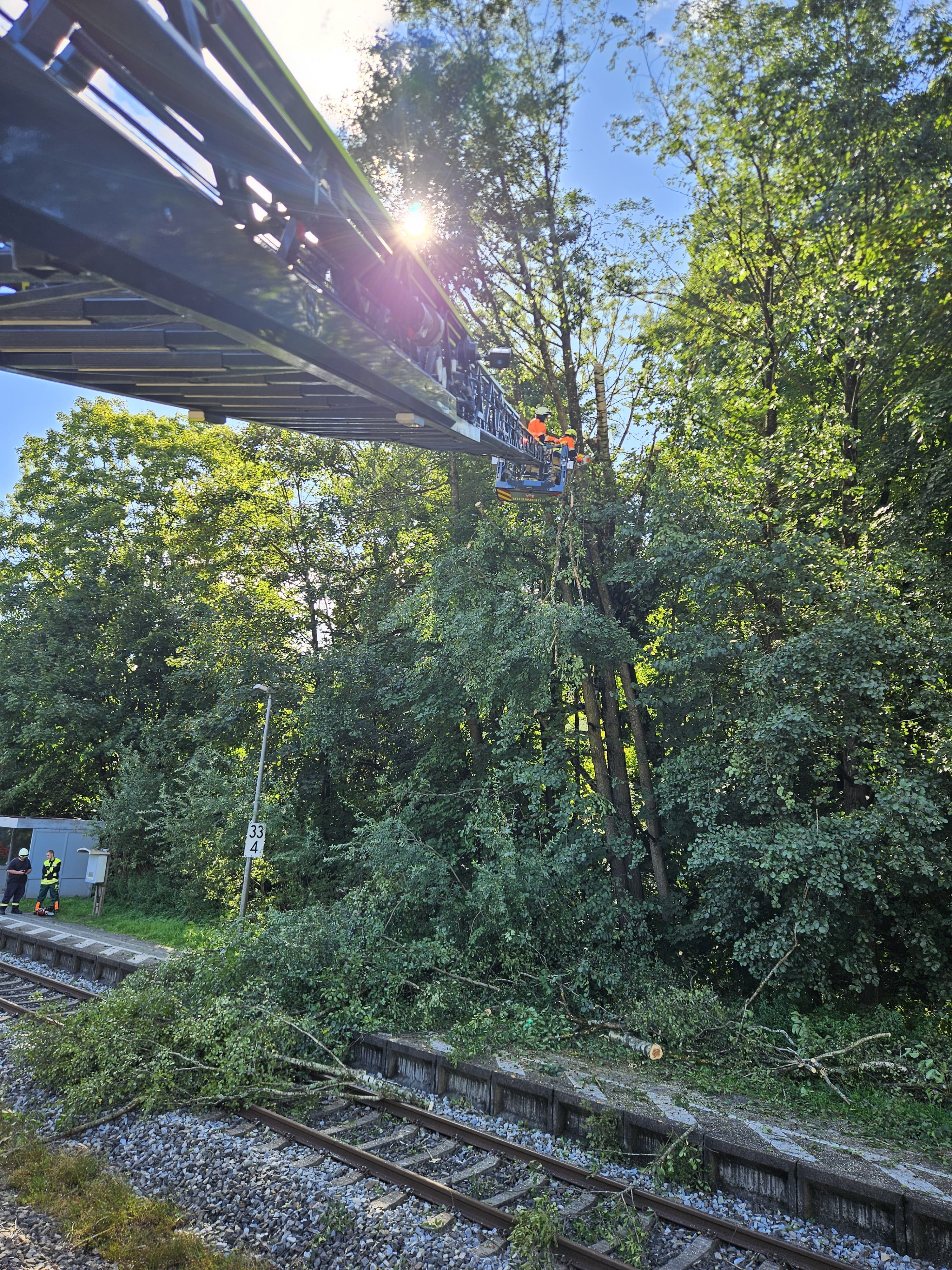 Einsatzfoto  THL 1 - klein - Baum auf ...