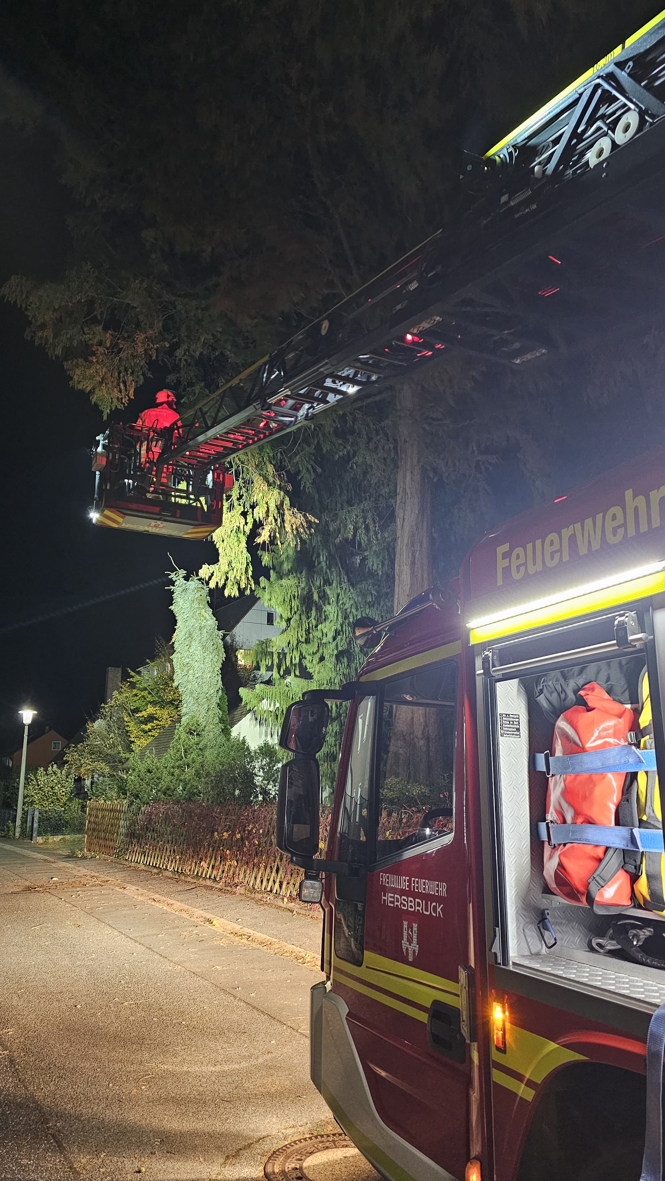 Einsatzfoto  THL 1 - klein -