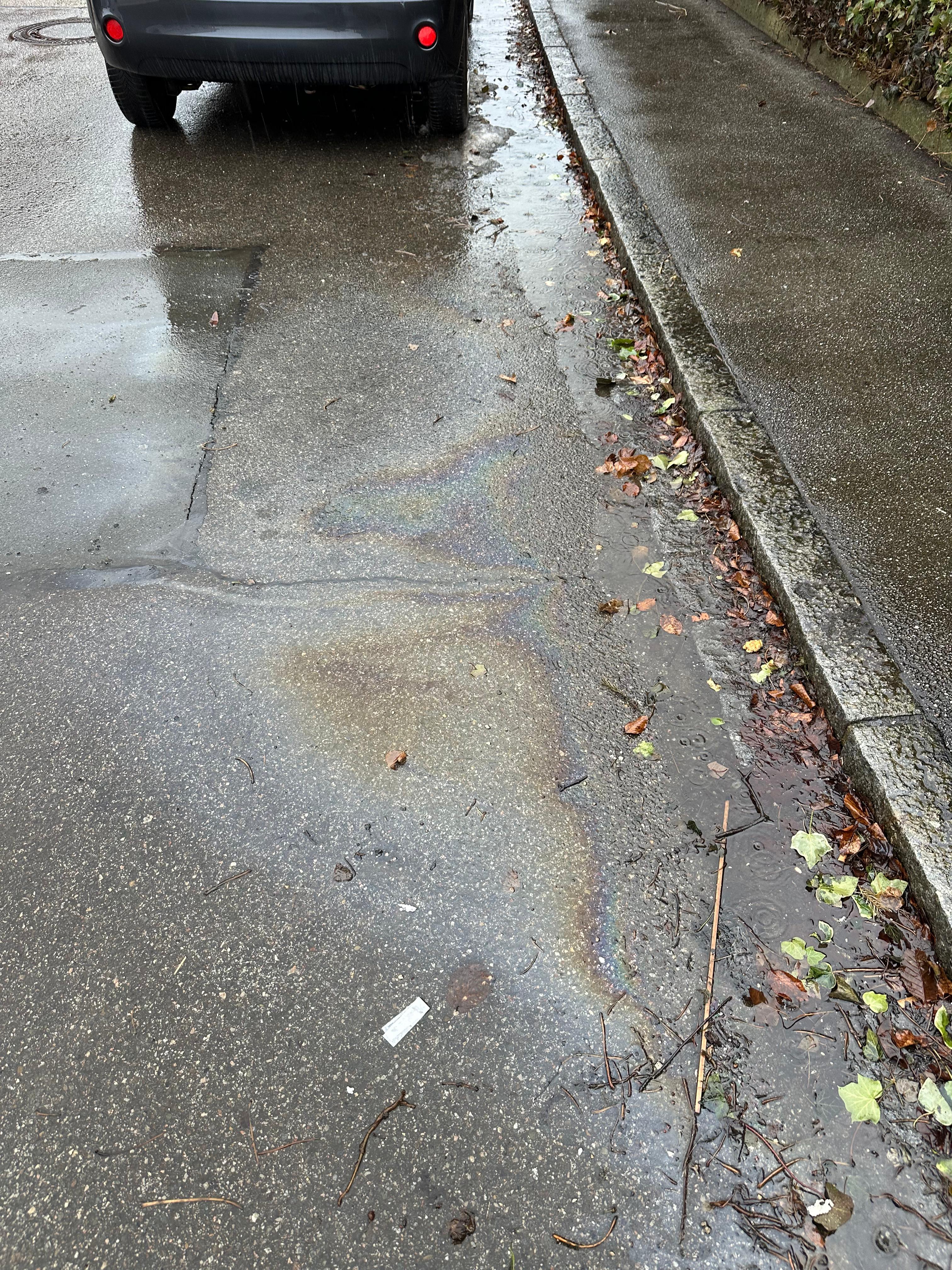 Einsatzfoto  THL 1 - klein - Straße ...