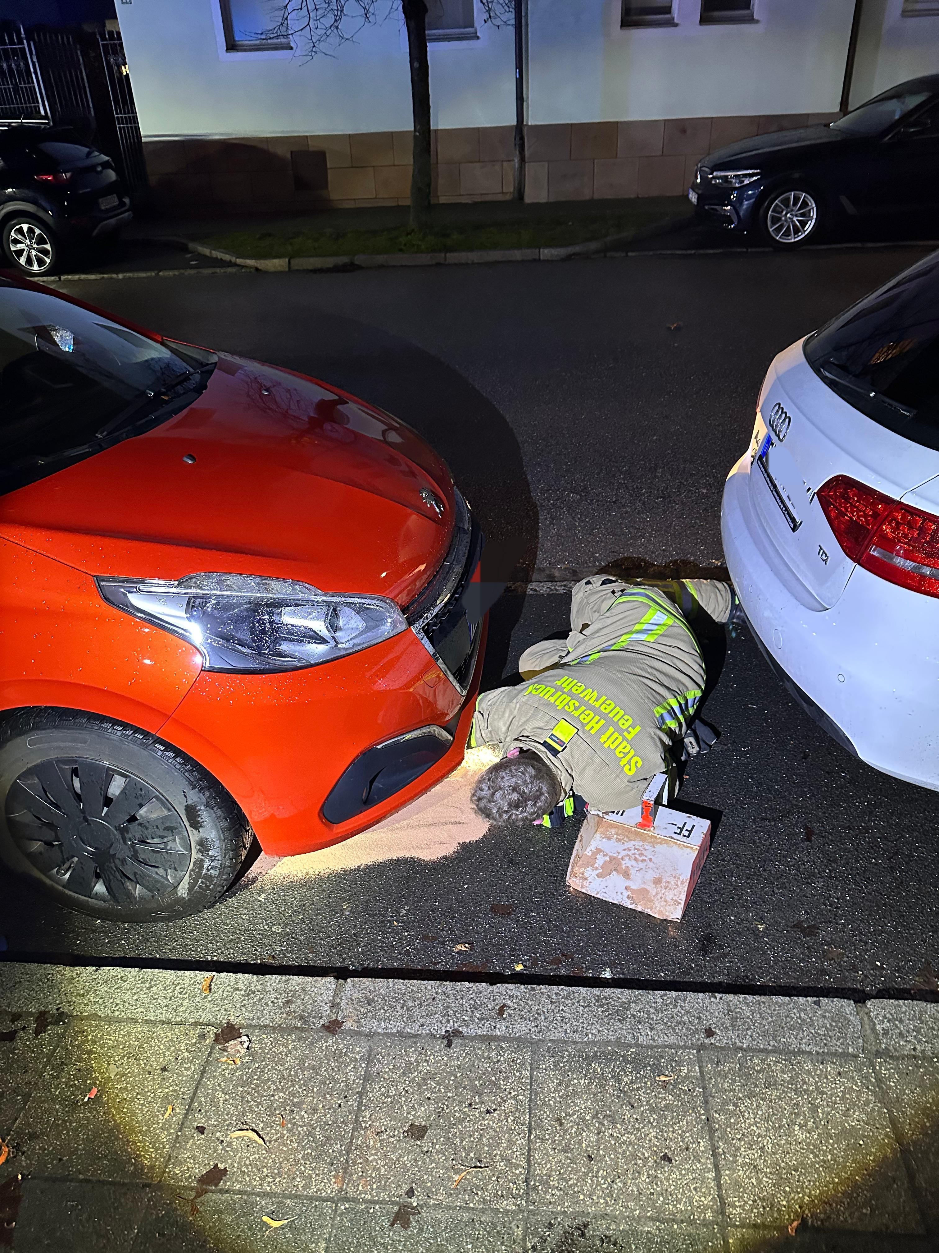 Einsatzfoto  THL 1 - klein - Straße ...